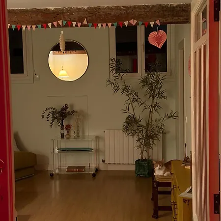 Appartement A Lived-in With Soul *